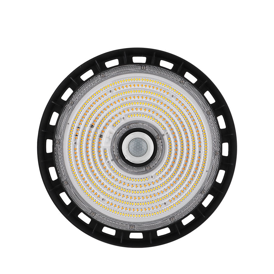 PIR Motion Sensor