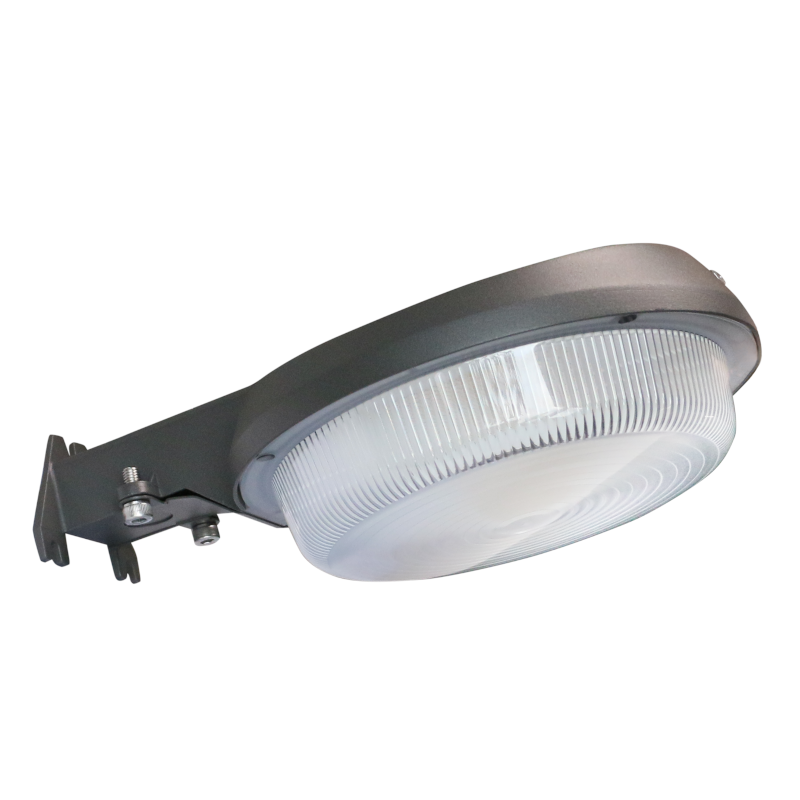 Dusk to Dawn Power & Color Selectable Fixture with Photocell