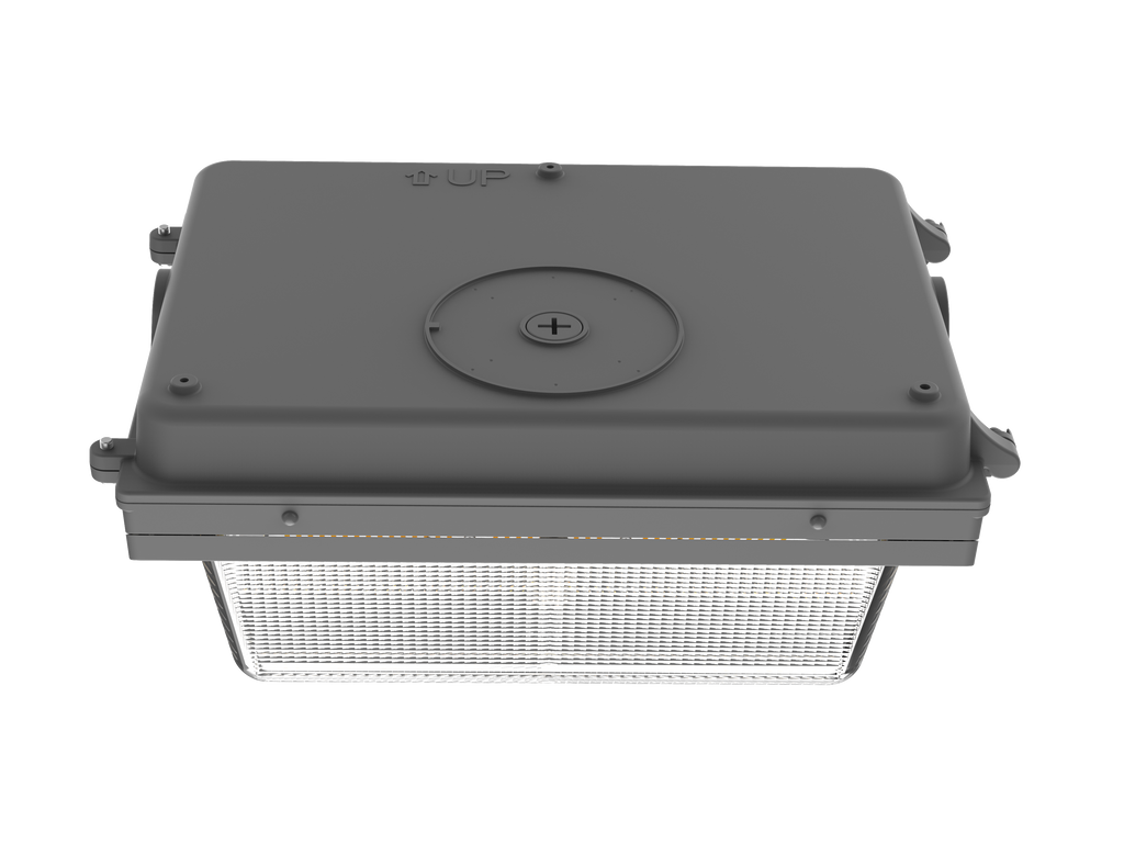 Watchman Led Light Watchman 40W/60W/80W LED Power & Color Selectable Wall Pack